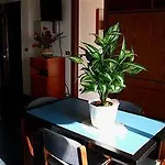 Casavacanze Internazionale Apart Otel